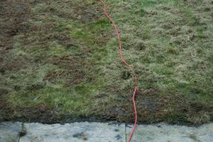 Lawn repair, first cut