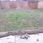 Lawn Restoration // Moss and stones / removal / heavy raking