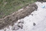 Lawn Restoration // Stones and Moss removal / heavy raking