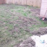Lawn Restoration // Stones and Moss removal / heavy raking